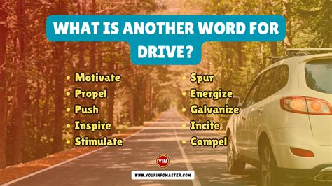 248 Synonyms & Antonyms for DRIVE .